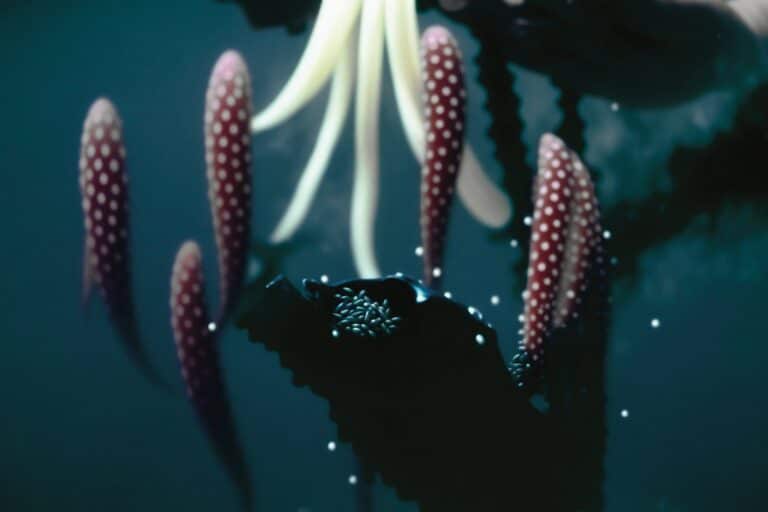 expositions janvier 2025 paris