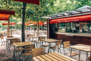 Petit Plisson au Jardin des Tuileries