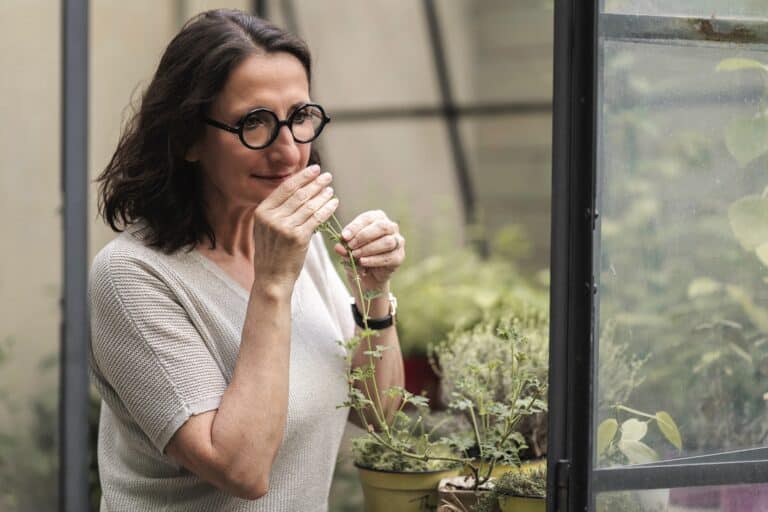 ouvertures restaurants paris 2026