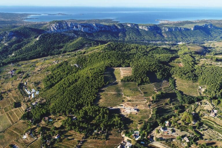 domaines viticoles sud