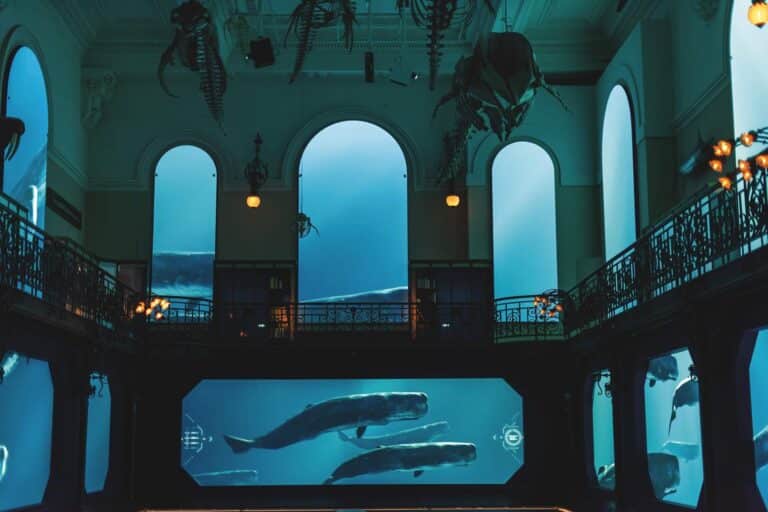 expositions été 2025