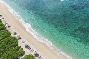 constance le chaland